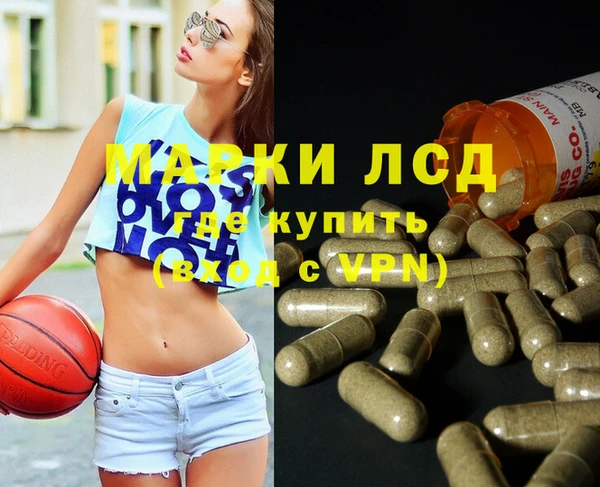 эйфоретик Покачи